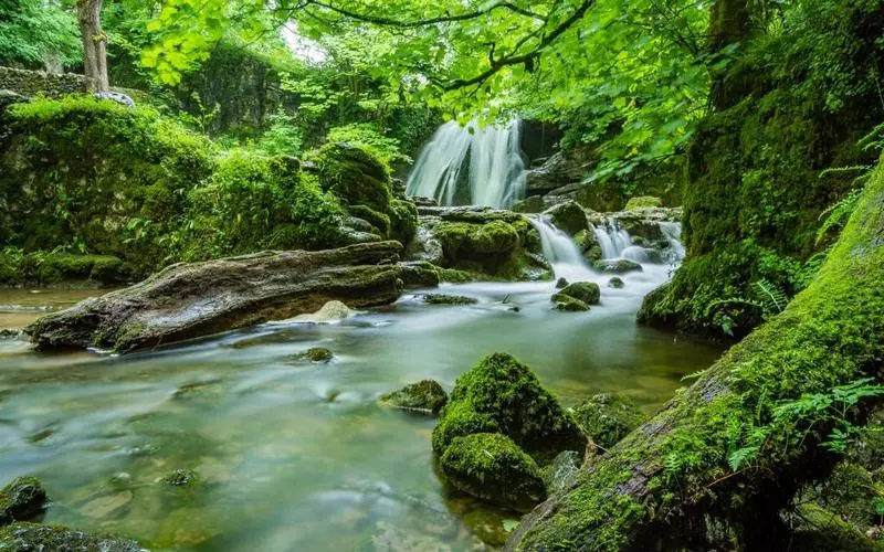 电子高端先进